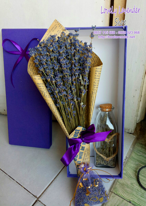 hộp quà tặng hoa lavender khô
